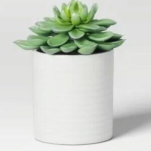 Faux Arrangements Succulent - NEW!!!